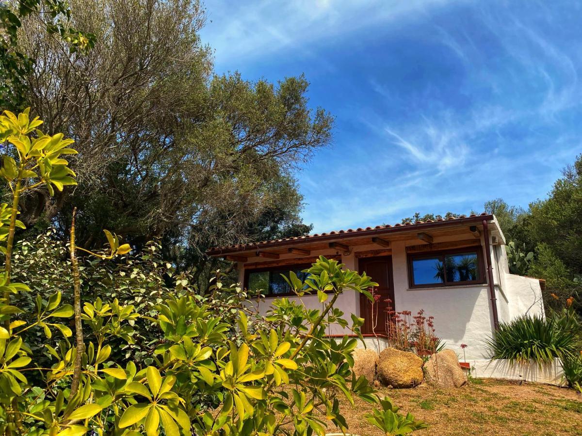 فيلا Casa Saltara (Adults Only) سانتا تيريزا غالّورا المظهر الخارجي الصورة