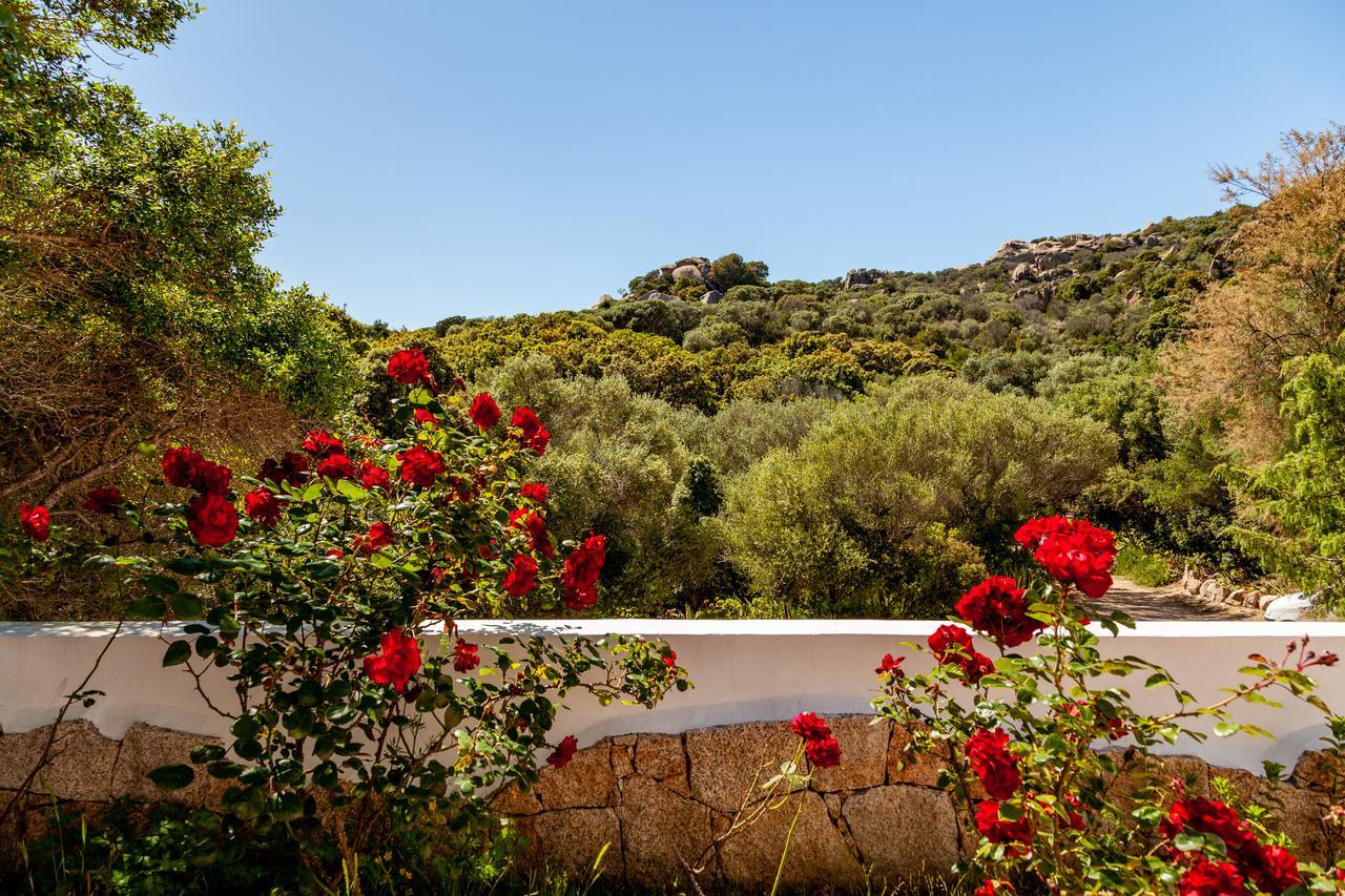 فيلا Casa Saltara (Adults Only) سانتا تيريزا غالّورا المظهر الخارجي الصورة